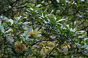 BUITEN BEELD Foto: 448080