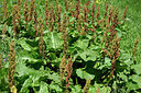 BUITEN BEELD Foto: 448082
