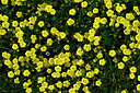 BUITEN BEELD Foto: 448084