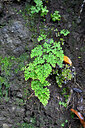 BUITEN BEELD Foto: 448087