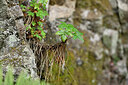 BUITEN BEELD Foto: 448089