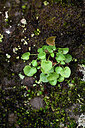 BUITEN BEELD Foto: 448090