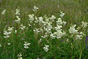 BUITEN BEELD Foto: 448094