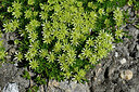 BUITEN BEELD Foto: 448098