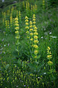 BUITEN BEELD Foto: 448099
