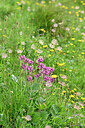 BUITEN BEELD Foto: 448101
