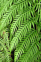 BUITEN BEELD Foto: 448108