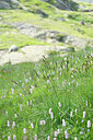 BUITEN BEELD Foto: 448109