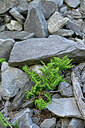 BUITEN BEELD Foto: 448110