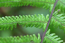 BUITEN BEELD Foto: 448112