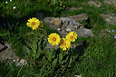 BUITEN BEELD Foto: 448123
