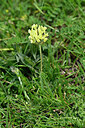 BUITEN BEELD Foto: 448125