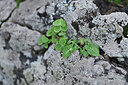 BUITEN BEELD Foto: 448126