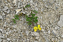 BUITEN BEELD Foto: 448140