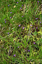 BUITEN BEELD Foto: 448143