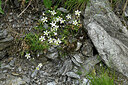 BUITEN BEELD Foto: 448144