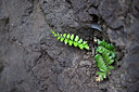 BUITEN BEELD Foto: 448149