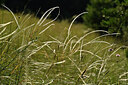 BUITEN BEELD Foto: 448154