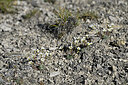 BUITEN BEELD Foto: 448158