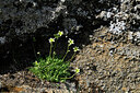 BUITEN BEELD Foto: 448160