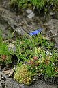 BUITEN BEELD Foto: 448165