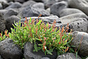 BUITEN BEELD Foto: 448166