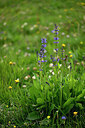 BUITEN BEELD Foto: 448168