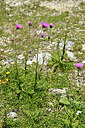 BUITEN BEELD Foto: 448169