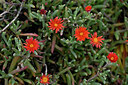 BUITEN BEELD Foto: 448176
