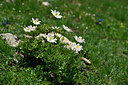 BUITEN BEELD Foto: 448177