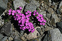 BUITEN BEELD Foto: 448179