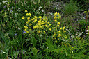 BUITEN BEELD Foto: 448182