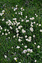 BUITEN BEELD Foto: 448183