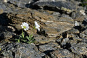 BUITEN BEELD Foto: 448184
