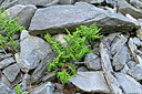 BUITEN BEELD Foto: 448186