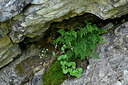 BUITEN BEELD Foto: 448187