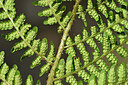 BUITEN BEELD Foto: 448192