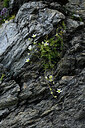 BUITEN BEELD Foto: 448195