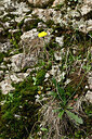 BUITEN BEELD Foto: 448196