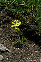 BUITEN BEELD Foto: 448202