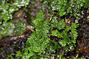 BUITEN BEELD Foto: 448203