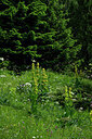 BUITEN BEELD Foto: 448205