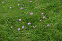 BUITEN BEELD Foto: 448206