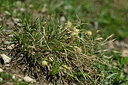 BUITEN BEELD Foto: 448209
