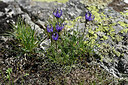 BUITEN BEELD Foto: 448210