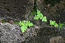 BUITEN BEELD Foto: 448211