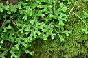 BUITEN BEELD Foto: 448212