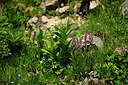 BUITEN BEELD Foto: 448219