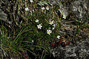BUITEN BEELD Foto: 448226