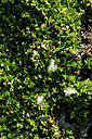 BUITEN BEELD Foto: 448228